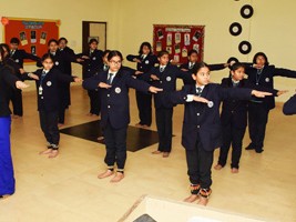 mlzs-programs